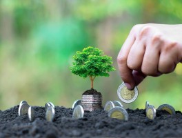 How did Ace Markets revolutionize high-frequency trading ? Unveiling the winning secrets of a top platform